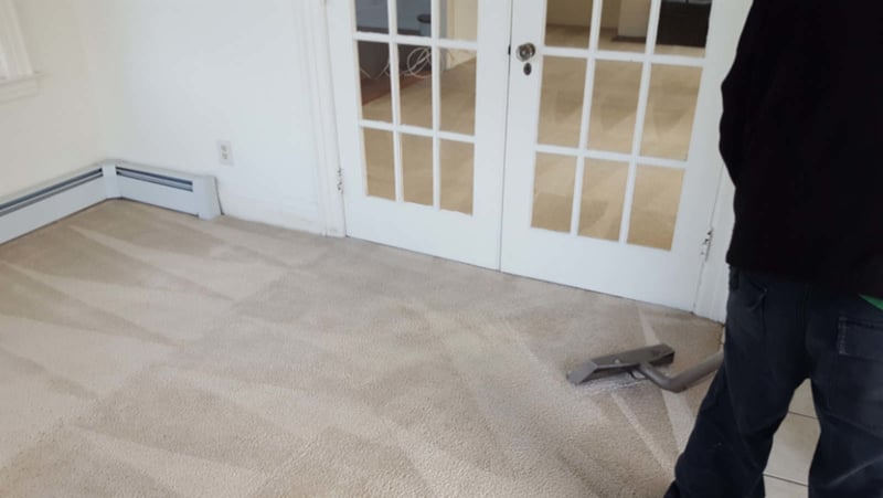 Carpet Cleaning Services