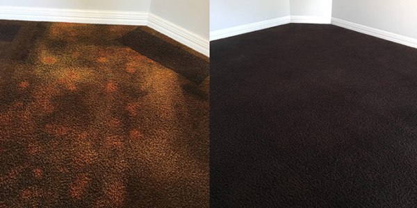 Expert Carpet Dyeing Services | Daphne AL | FreshStart Cleaning
