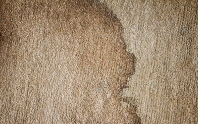 Carpet Cleaning Services