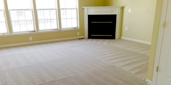 Carpet Cleaning Services