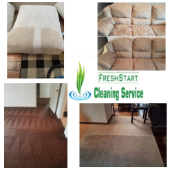 Carpet cleaning professional in AL